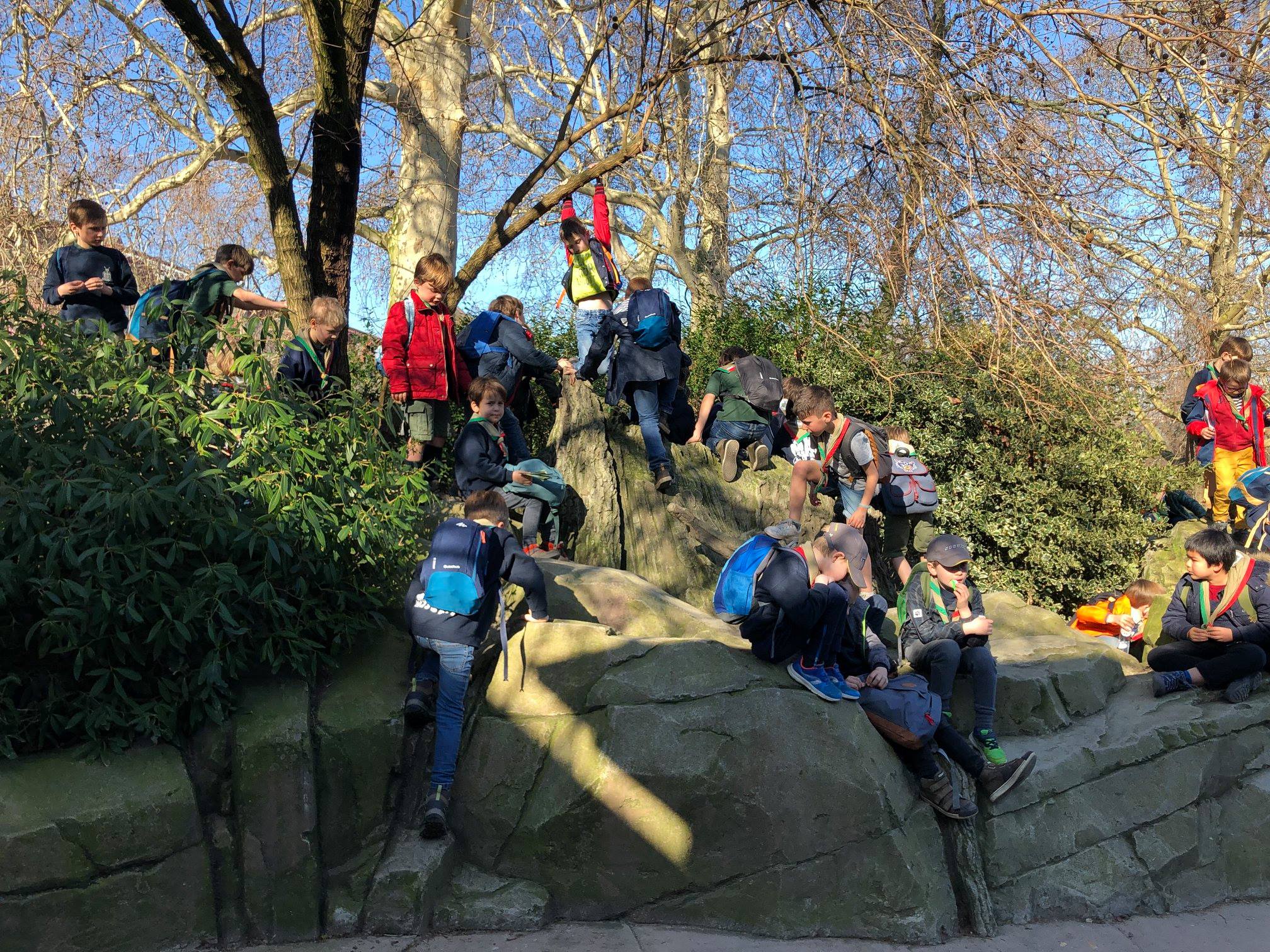Sint-Martinus den XIIde - Zoo Antwerpen Kapoenen
